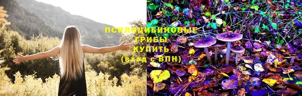 Альфа ПВП Аркадак