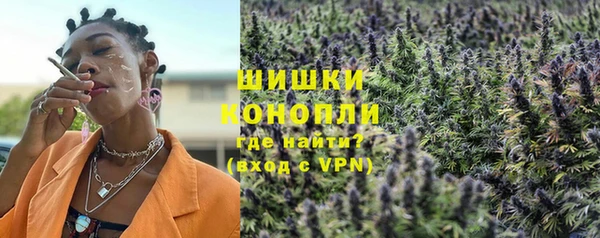 сатива Армянск