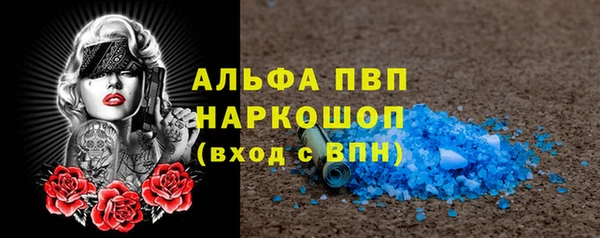 сатива Армянск
