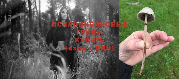 не бодяженный Арсеньев